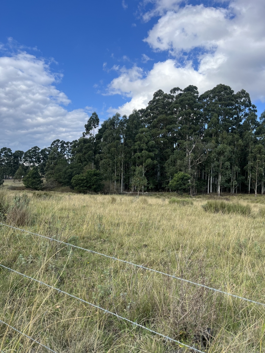 14 Bedroom Property for Sale in Stutterheim Eastern Cape